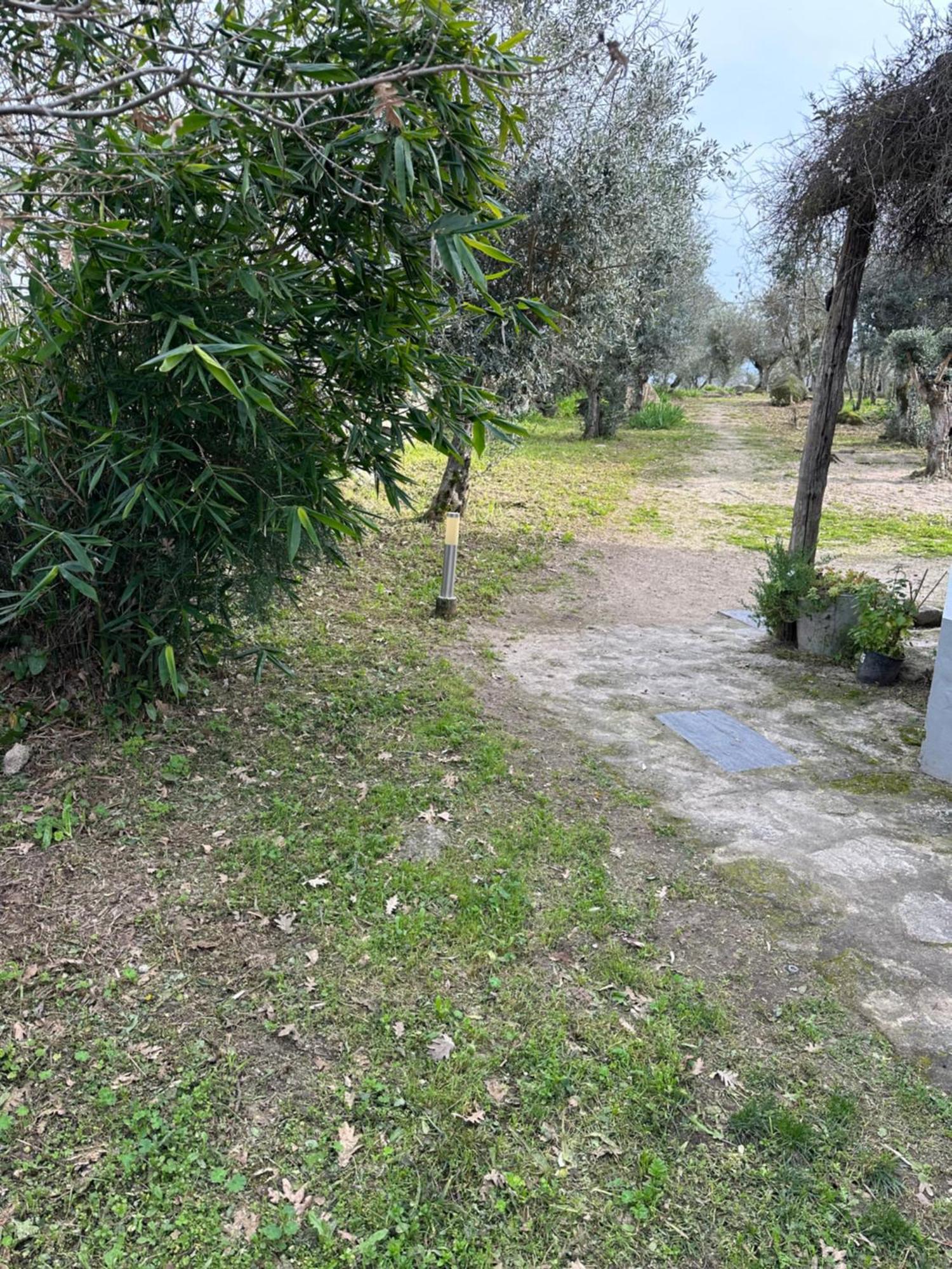 Monte Das Mariolas กัสเตโลเจวีด ภายนอก รูปภาพ